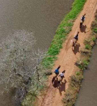 Fazenda Boa Esperanca Hotel Florestal Eksteriør billede